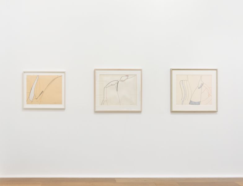 Thumbnail image for news titled Eva Hesse’s Wanton Duality: Liquidity and Compression in the Mechanical Drawings of 1965