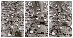 Entrevidas (Between Lives), from Fotopoemação (Phtopoemaction) series