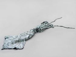 Untitled (Kopffüsser)
