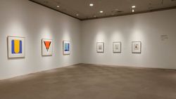Installation view, 'Takesada Matsutani. Currents', Ōtani Memorial Art Museum, Nishinomiya City, Japan, 2015