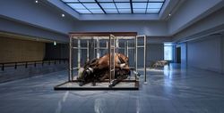 'Berlinde de Bruyckere', Sara Hildén Art Museum, Tampere, Finland, 2018