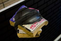 Metamorphosed Book