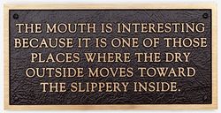 Living Series: The mouth is interesting because…