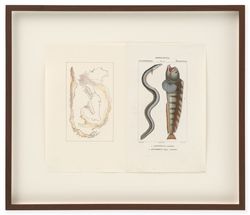 Untitled (Chile, Italy / Anguilla, Anarrico)
