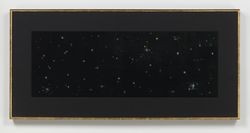 Black Velvet Study #3