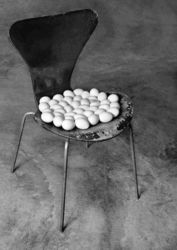 Untitled, from Vida Afora series – Fotopoemação
