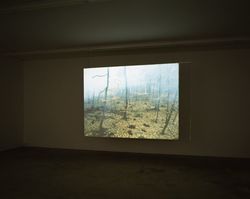 Untitled (Wanas)