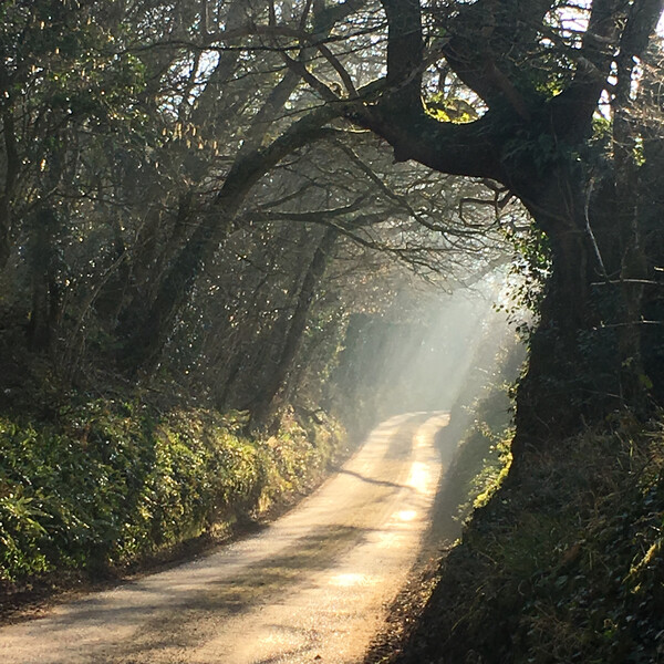 Image for news titled Walk & Talk with Jacqueline Moore