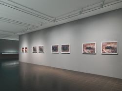 Becoming a Landscape