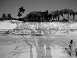 Borrowed Light (Twilight II)