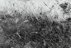 A study for a sad public park