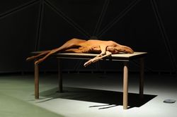 'Berlinde De Bruyckere. In the Flesh', Kunsthaus Graz, Austria, 2013
