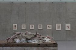 Installation view, 'Berlinde De Bruyckere. The Embalmer', Kunsthaus Bregenz, Austria, 2015