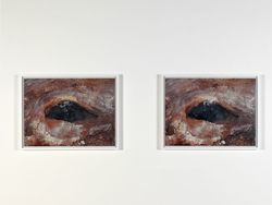Becoming a Landscape (details)