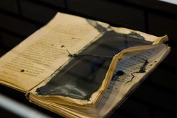 Metamorphosed Book