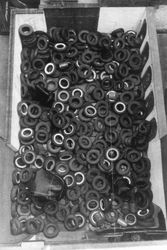 Yard: Overhead view