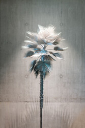 Neusilber (New Silver)