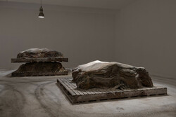 'Berlinde De Bruyckere', Fondazione Sandretto, Turin, Italy, 2019