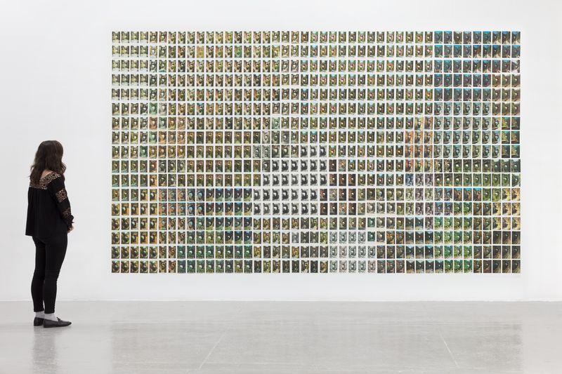 Thumbnail image for event called Zoe Leonard in Conversation with Hamza Walker