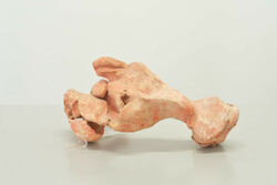 Forma II (Form II)
